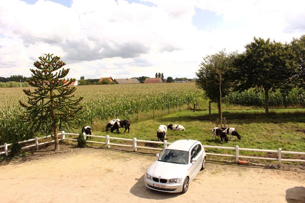 De Lekkermond Guest House Diksmuide Rom bilde